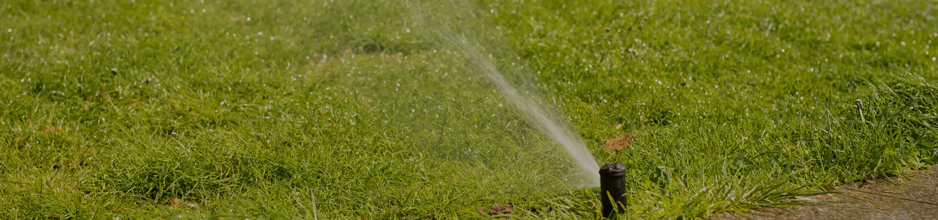 Outdoor makeover: Irrigation-Banner