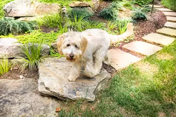 Outdoor makeover: Landscape-Service-Boulder-Placement