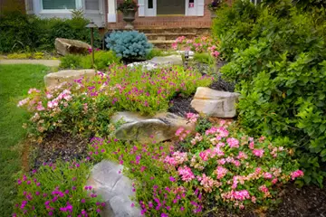 Outdoor makeover: Landscape-Service-Plant-Design