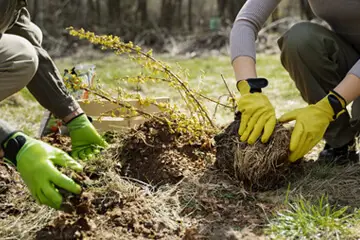 Outdoor makeover: Xeriscape-Landscaping-Mulching