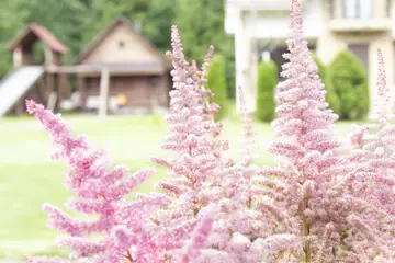 Outdoor makeover: Xeriscape-Landscaping-Native-Plants