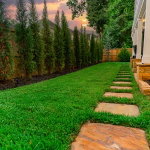 Outdoor makeover: Backyard-Landscape-Privacy-Hedges