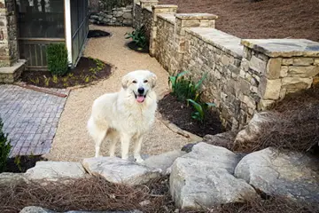 Outdoor makeover: Decatur-Landscape-Design-Boulder-Placement