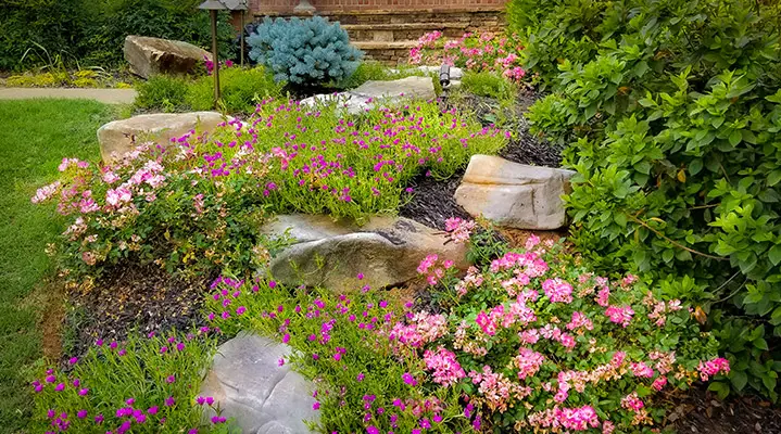 Outdoor makeover: Landscape-Plant-Design-Blog