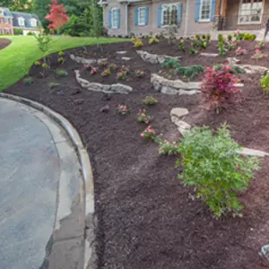 Outdoor makeover: Landscape-Services-In-Alpharetta-Drought-Resistant-plants