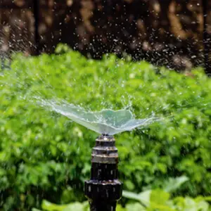 Outdoor makeover: Landscape-Services-In-Woodstock-Irrigation