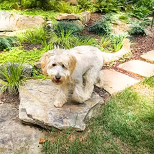 Outdoor makeover: Sandy-Springs-Landscape-Design-Boulder-Placement