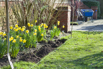 Outdoor Makeover: Bed_Edging