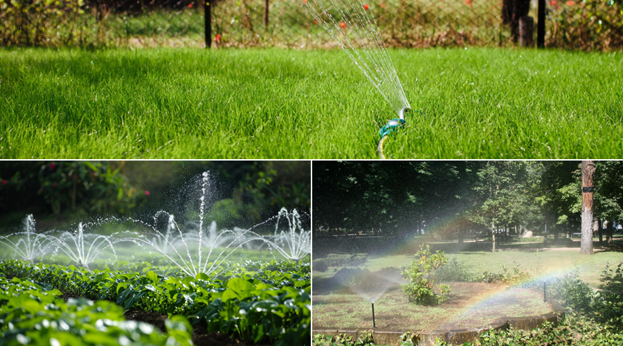 irrigation