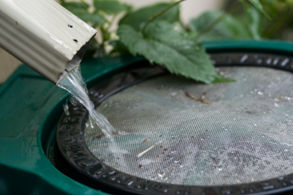 Rainwater Barrel 